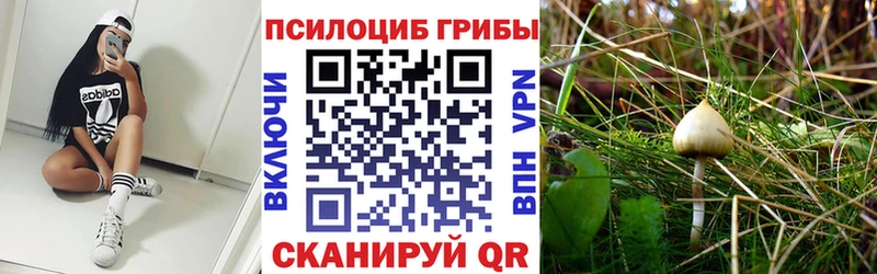 Псилоцибиновые грибы Magic Shrooms  Купить где  Благодарный 